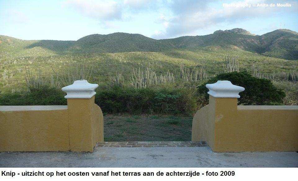 37. Knip uitzicht op het oosten 2009